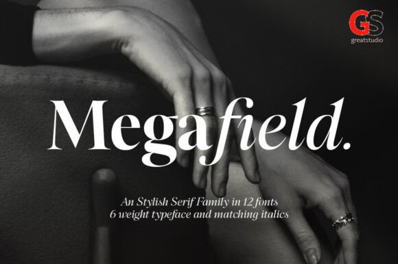 Megafield: A Contemporary Serif Font for Web Designers